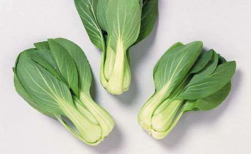 炒前必須焯水的3種蔬菜，再懶也別省這一步，你別還不知道