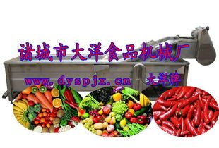 全方位解析蔬菜加工設(shè)備 葉子菜清洗機(jī)價(jià)格、廠家與選購(gòu)指南